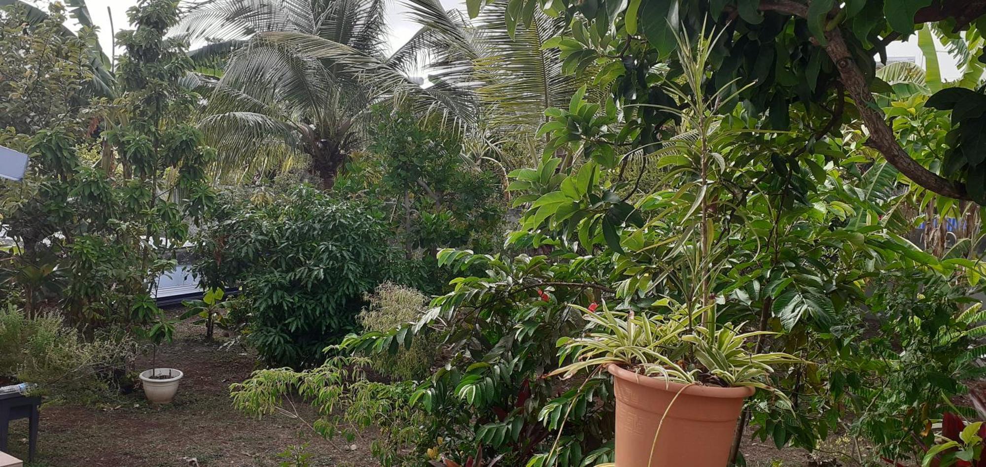 Ferienwohnung Le P'Tit Nid Cocodydy Baillif Exterior foto
